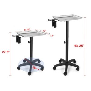 Kaleurrier Beauty Hair Salon Spa Equipment Rolling Trolley Cart Mobile Tool Storage Tray Instrument Stand