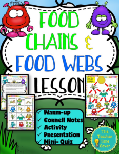 food webs and food chains ecology lesson