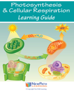 photosynthesis & respiration learning guide