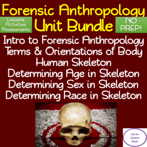 forensics anthropology unit no prep bundle