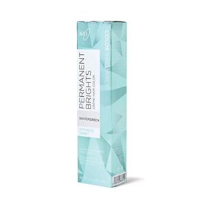 ion permanent brights creme hair color wintergreen wintergreen