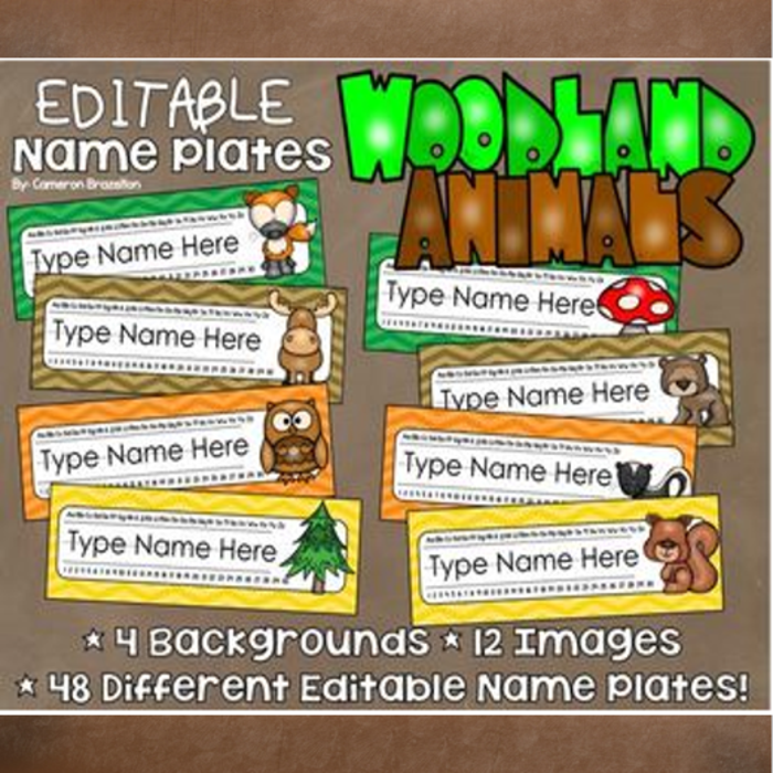 Name Tags Desk Plates Woodland Animals Theme