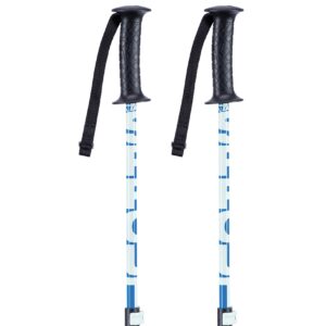 K2 Sprout 10E3020 Boys' Ski Poles Blue Length 75-105 cm