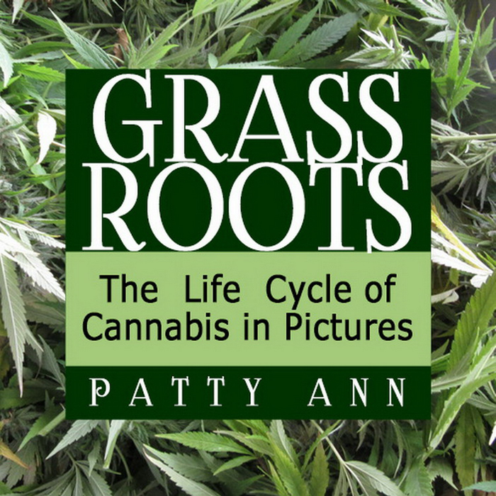 Health Science & Civics > Cannabis Life Cycle Pictorial to Educate