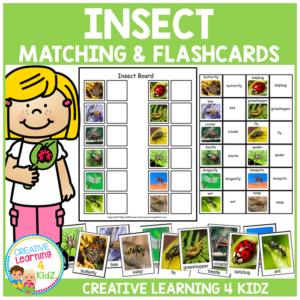 insect matching board & flashcards