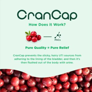 CranCap - Cranberry Pills - Urinary Tract Health Cranberry Supplement - 36mg of Potent PACs - Non GMO, Vegan, Gluten Free - by Heale - 90 Capsules