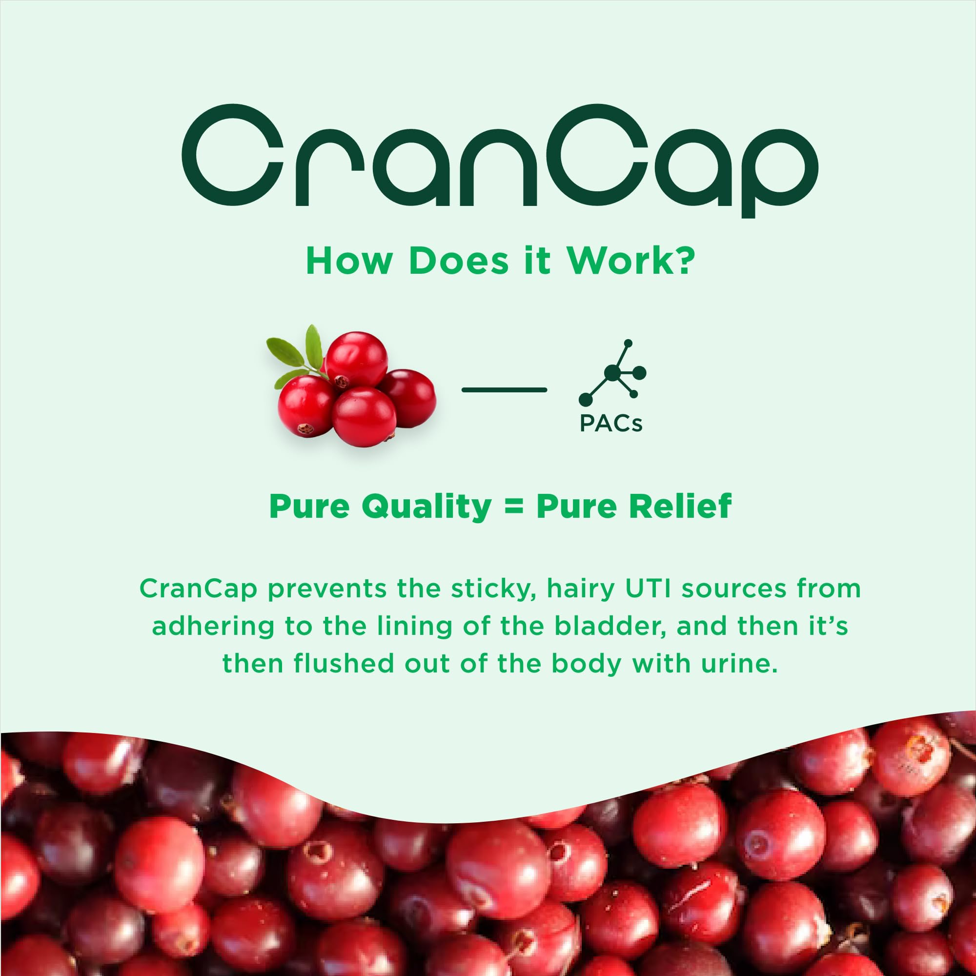 CranCap - Cranberry Pills - Urinary Tract Health Cranberry Supplement - 36mg of Potent PACs - Non GMO, Vegan, Gluten Free - by Heale - 90 Capsules