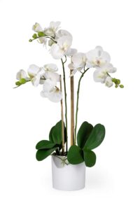 serene spaces living 3 white realistic phalaenopsis orchids in pot, artificial potted flowers - beautiful entryway vase, foyer table décor, measures 26" tall & 5" diameter