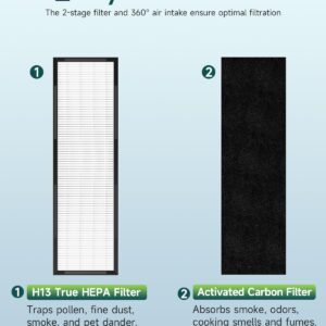 2-Pack FLT4825 Filter B Replacement Compatible with AC4825E, AC4850PT, AC4900, AC4300, H13 True HEPA Filter with Pet Pure Treatment, Replace Model FLT4825&FLT4850PT