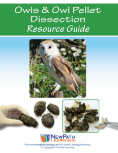 owls and owl pellet dissection resource guide