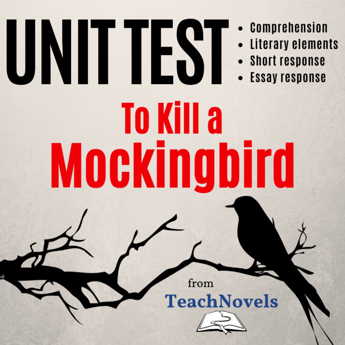 Unit Test for To Kill a Mockingbird (customizable)