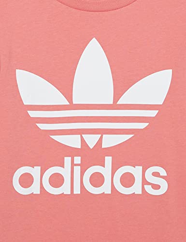 adidas Originals,unisex-youth,Trefoil Tee,Hazy Rose/White,Medium