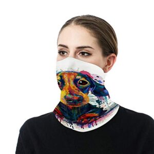 KANKANHAHA Dachshund Neck Gaiter Mask Cooling Summer Face Cover Scarf Bandana Seamless Balaclavas Headband for Dust Outdoors Fishing Sports Running