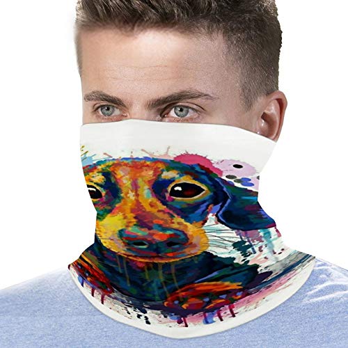 KANKANHAHA Dachshund Neck Gaiter Mask Cooling Summer Face Cover Scarf Bandana Seamless Balaclavas Headband for Dust Outdoors Fishing Sports Running