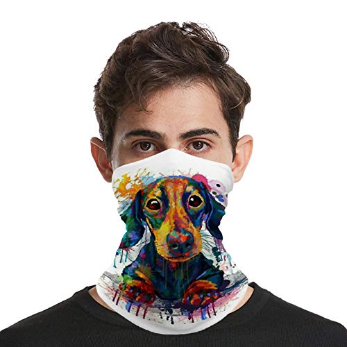 KANKANHAHA Dachshund Neck Gaiter Mask Cooling Summer Face Cover Scarf Bandana Seamless Balaclavas Headband for Dust Outdoors Fishing Sports Running