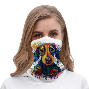 KANKANHAHA Dachshund Neck Gaiter Mask Cooling Summer Face Cover Scarf Bandana Seamless Balaclavas Headband for Dust Outdoors Fishing Sports Running