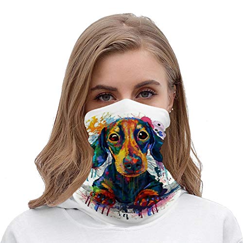 KANKANHAHA Dachshund Neck Gaiter Mask Cooling Summer Face Cover Scarf Bandana Seamless Balaclavas Headband for Dust Outdoors Fishing Sports Running