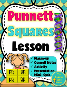 punnett squares genetics biology lesson