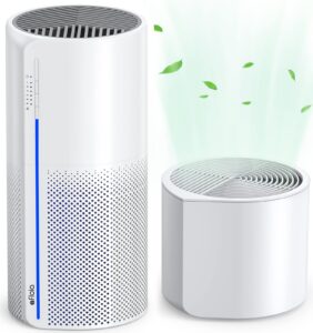 air purifiers for home, ture hepa active carbon cleaner filter, 360° 3-layer filtration, whisper quiet desktop air cleaner for small space, remove smoke, allergies and pet dander, afloia miro