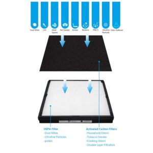 WOCASE IAF-H-100D H13 True HEPA Replacement Idylis D Filter, Compatible with Idylis AC-2118, AC-2123, IAP-10-280 Air Purifier Devices, 2 HEPA Filter & 2Carbon Filter