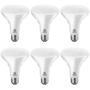 Energetic LED Flood Light Bulbs BR30, 65W Equivalent, Dimmable, Warm White 3000K, 750lm, Indoor Flood Lights for Recessed Cans, Energy Star & CRI 90, UL Listed, 6 Pack