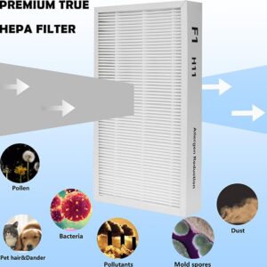 F1 Allergen Reduction Replacement, F1 H11 True HEPA Filter Replacement Compatible with 3M Filtrete C01 T02 Room Air Purifier for FAP-C01-F1, FAP-T02-F1, FAP-C01BA-G1, FAP-T02WA-G1, 2 Pack