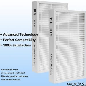 F1 Allergen Reduction Replacement, F1 H11 True HEPA Filter Replacement Compatible with 3M Filtrete C01 T02 Room Air Purifier for FAP-C01-F1, FAP-T02-F1, FAP-C01BA-G1, FAP-T02WA-G1, 2 Pack