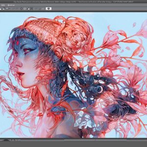 Clip Studio Paint EX + TABMATE for Global Bundle