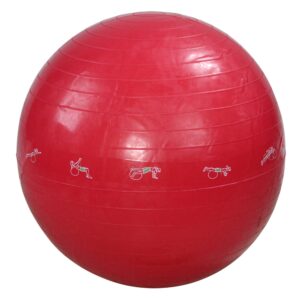 avon 24" red exercise gym ball