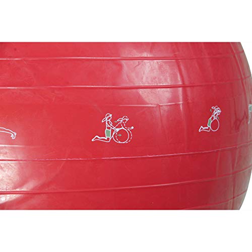 Avon 24" Red Exercise Gym Ball