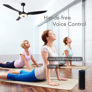 TRIFECTÉ Trifecte 60 Inch Ceiling Fan with Light and Remote, Smart Ceiling Fan Compatible with App/Alexa/Google/Siri, Low Profile Ceiling Fan with 10-Speed Reversible Quiet DC Motor, ETL Listed