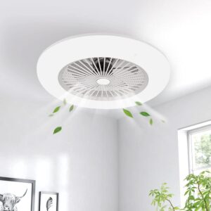 kwoking modern led ceiling fan with lights doughnut shape fan chandelier,22 inch invisible fan light,remote control,adjustable speed in white