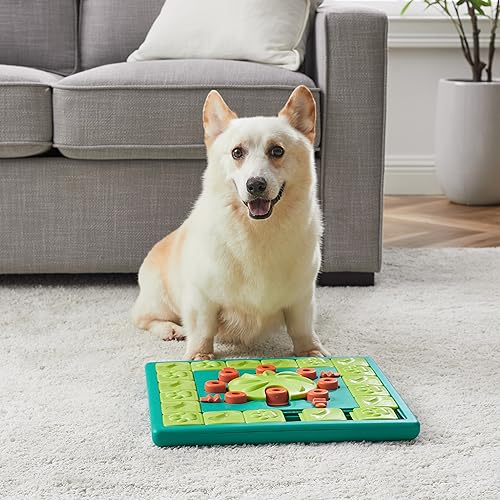 Outward Hound Nina Ottosson Multipuzzle Dog Puzzle Interactive Treat Puzzle Dog Enrichment Dog Toy, Level 4 Expert Dog Puzzle, Blue