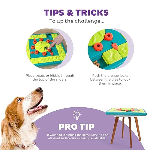 Outward Hound Nina Ottosson Multipuzzle Dog Puzzle Interactive Treat Puzzle Dog Enrichment Dog Toy, Level 4 Expert Dog Puzzle, Blue