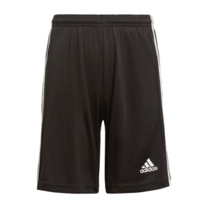 adidas boys Squad 21 Shorts Black/White X-Small