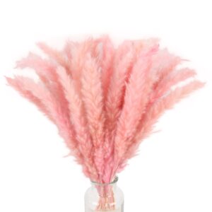 xhxstore 30pcs dried pink pampas grass 17" natural small pompous grass fluffy reed grass for home wedding party boho table ceterpieces decor