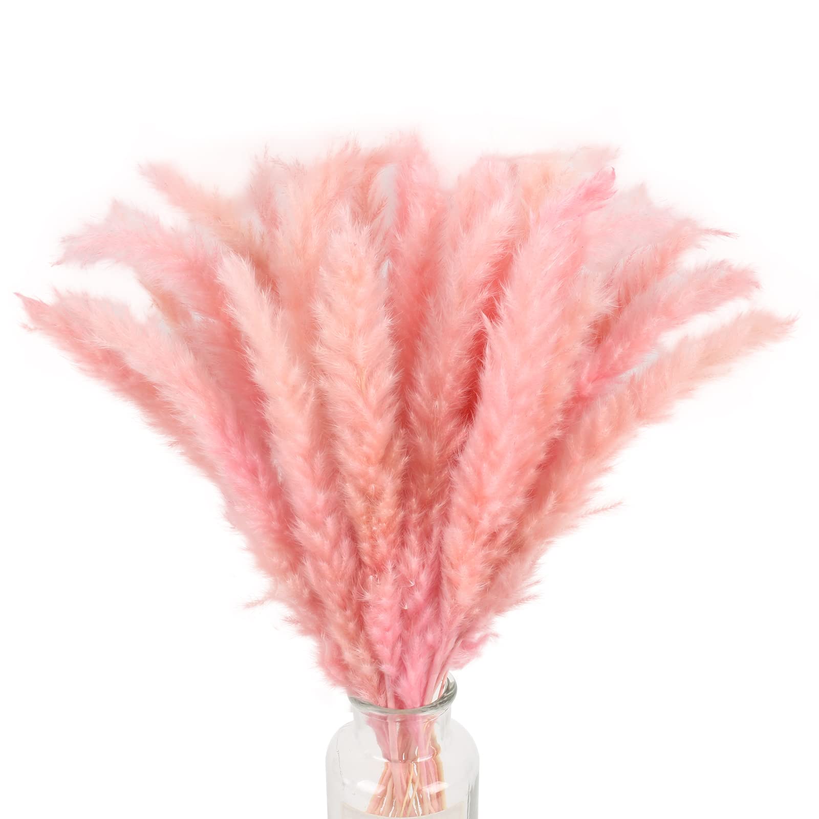 XHXSTORE 30pcs Dried Pink Pampas Grass 17" Natural Small Pompous Grass Fluffy Reed Grass for Home Wedding Party Boho Table Ceterpieces Decor