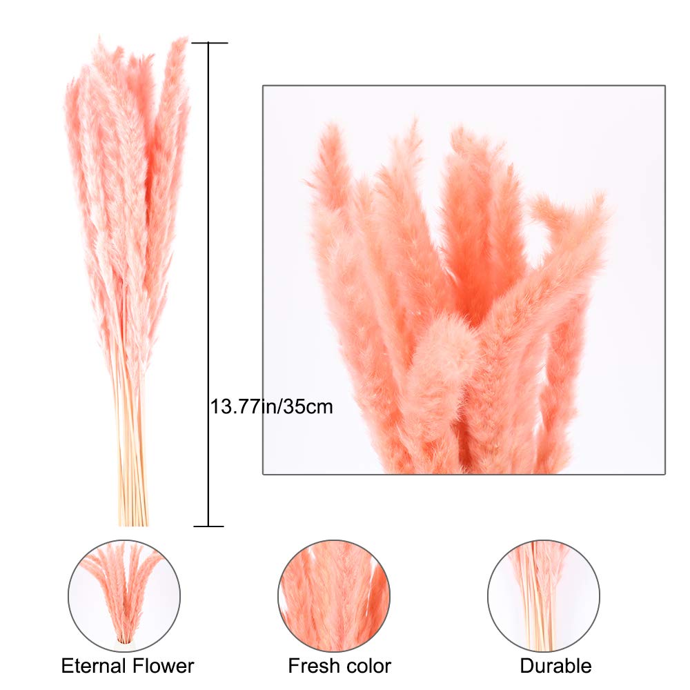 XHXSTORE 30pcs Dried Pink Pampas Grass 17" Natural Small Pompous Grass Fluffy Reed Grass for Home Wedding Party Boho Table Ceterpieces Decor