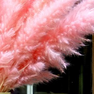 XHXSTORE 30pcs Dried Pink Pampas Grass 17" Natural Small Pompous Grass Fluffy Reed Grass for Home Wedding Party Boho Table Ceterpieces Decor