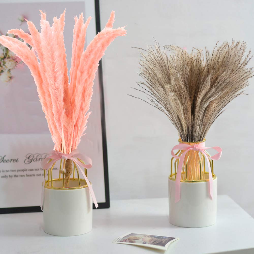 XHXSTORE 30pcs Dried Pink Pampas Grass 17" Natural Small Pompous Grass Fluffy Reed Grass for Home Wedding Party Boho Table Ceterpieces Decor