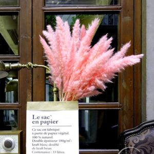 XHXSTORE 30pcs Dried Pink Pampas Grass 17" Natural Small Pompous Grass Fluffy Reed Grass for Home Wedding Party Boho Table Ceterpieces Decor