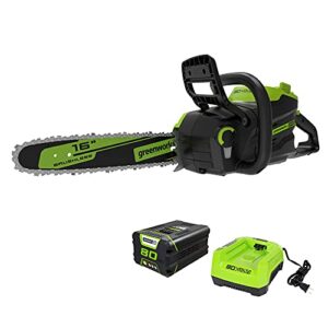 greenworks 80v 16" brushless cordless chainsaw (great for tree felling, limbing, pruning, and firewood / 75+ compatible tools), 2.5ah battery and charger included