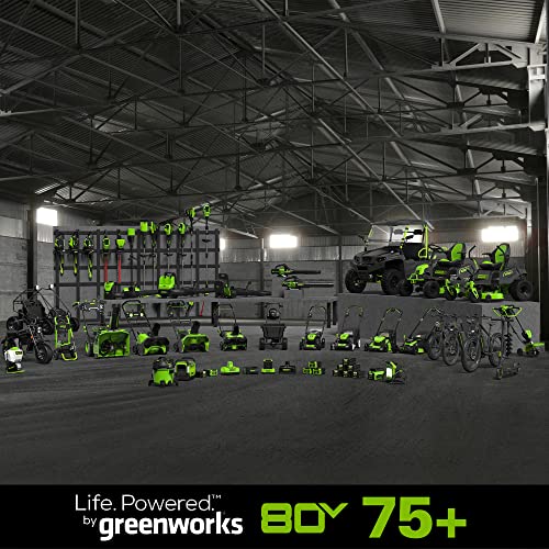 Greenworks 80V 16" Brushless Cordless Chainsaw (Great For Tree Felling, Limbing, Pruning, and Firewood / 75+ Compatible Tools), 2.5Ah Battery and Charger Included