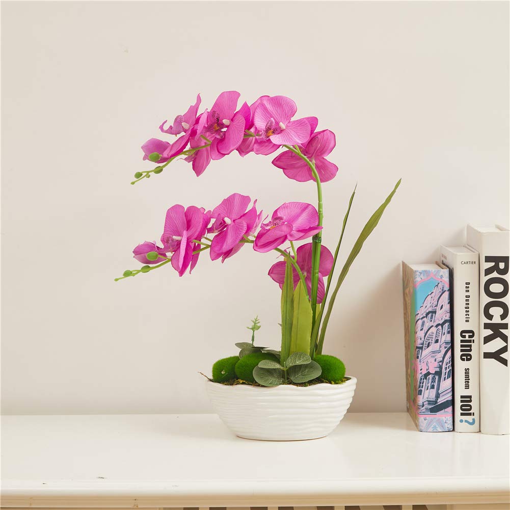 YSZL Large Artificial Potted Orchid Plant, Silk Flower Arrangement with Ceramics Vase, Purple Red