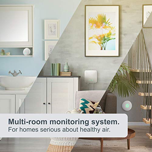 Airthings 4200 House Kit, Radon, Mold Risk & Indoor Air Quality Monitoring System, Multi-Room