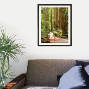 - Muir Woods National Monument Poster Print - WPA Wall Art - Travel Poster Home Décor - Housewarming Gift - 11 x 14 Unframed Art Print