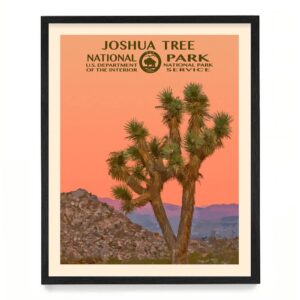 - joshua tree national park poster print - wpa wall art - travel poster home décor - housewarming gift - 11 x 14 unframed art print