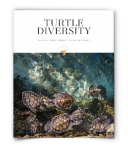 firefly nature school - shellabration - lesson - turtle diversity