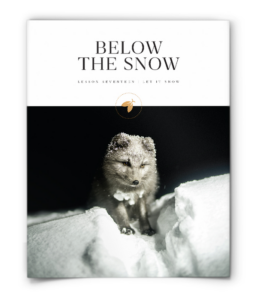 firefly nature school - let it snow - lesson - below the snow