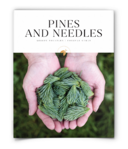 firefly nature school - forever green - lesson - pines and needles